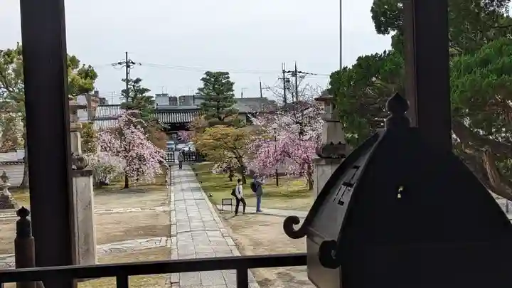 妙顯寺(妙顕寺)(京都府)