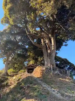 金刀比羅神社(千葉県)