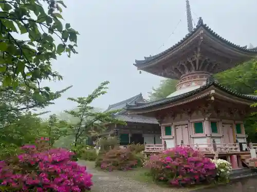 南法華寺（壷阪寺）の{uncategorized: "未分類", other: "その他", undefined: "問題あり", building: "その他建物", grave: "お墓", sacred_gate: "鳥居", guardian: "狛犬", statue: "像", buddha: "仏像", history: "歴史", nature: "自然", garden: "庭園", animal: "動物", pagoda: "塔", temizu: "手水舎", mountain_gate: "山門・神門", sanctuary: "本殿・本堂", subordinate: "末社・摂社", art: "芸術", scenery: "景色", jizo: "地蔵", ema: "絵馬", goshuin: "御朱印", omikuji: "おみくじ", items: "授与品その他", amulet: "お守り", goshuincho: "御朱印帳", eats: "食事", festival: "お祭り", votive_dance: "神楽", shichigosan: "七五三参", wedding: "結婚式", experience: "体験その他", initially: "初詣", around: "周辺", anti_infection: "感染症対策"}