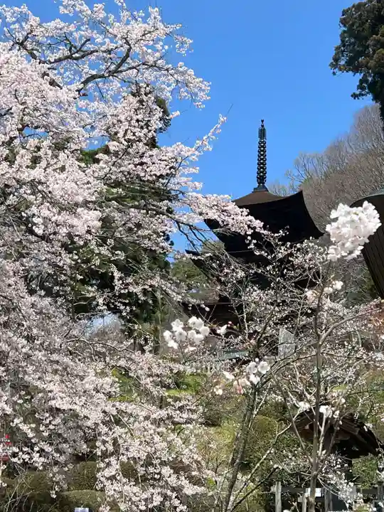 国宝 大法寺(長野県)