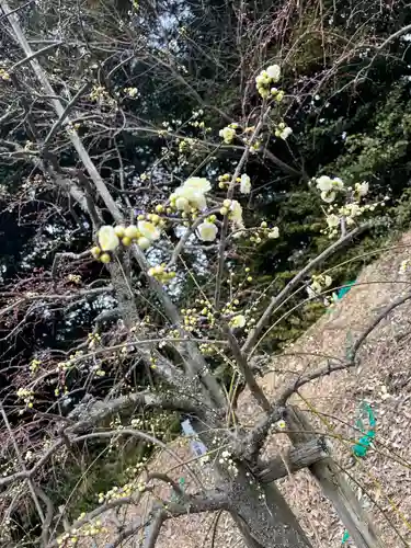 大縣神社(愛知県)