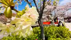 六孫王神社(京都府)