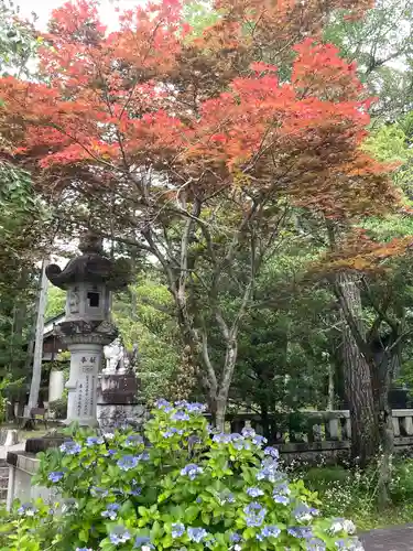 山梨縣護國神社(山梨県)