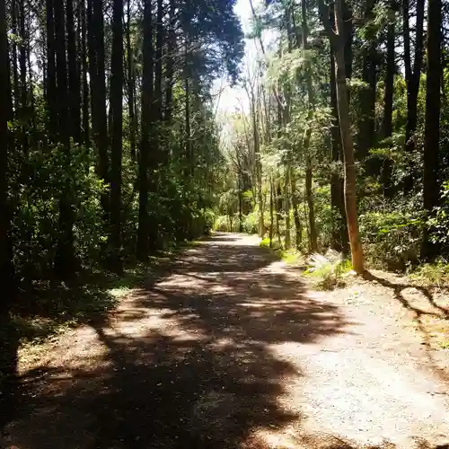 鹿島神宮の自然