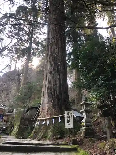 英彦山神宮の自然