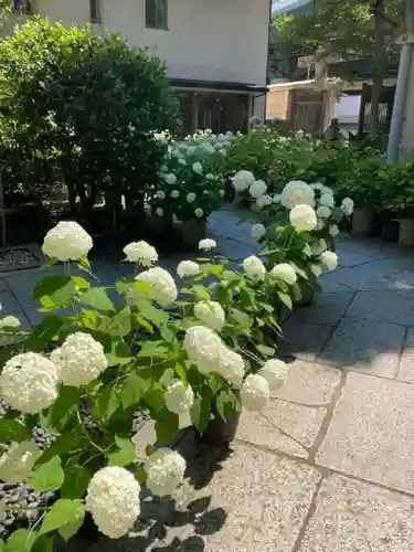 坐摩神社の庭園