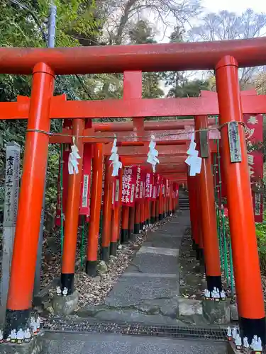 佐助稲荷神社の鳥居
