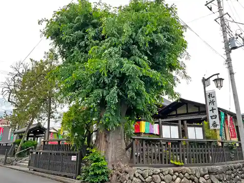 今宮坊(埼玉県)