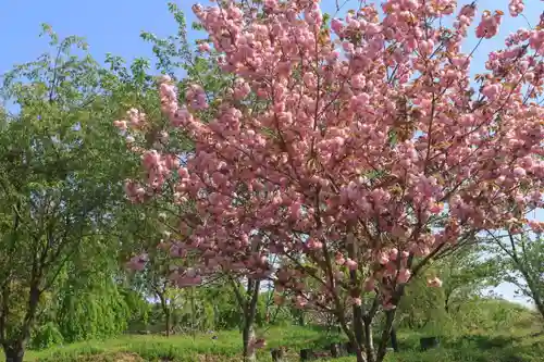 阿久津「田村神社」（郡山市阿久津町）旧社名：伊豆箱根三嶋三社の庭園
