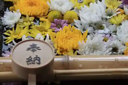 土津神社｜こどもと出世の神さまの手水