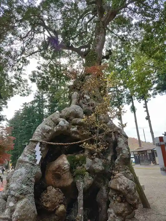 賀茂神社(宮城県)