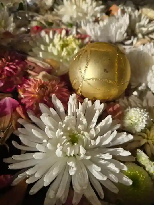 石清水八幡宮(京都府)