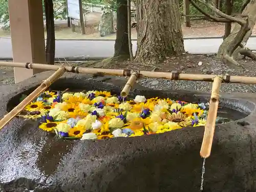 千歳神社の手水