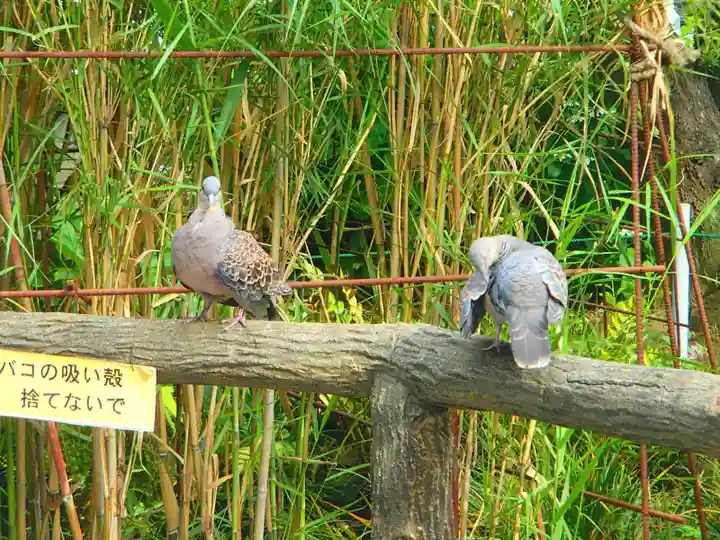 身形神社の動物