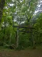 来運神社(北海道)