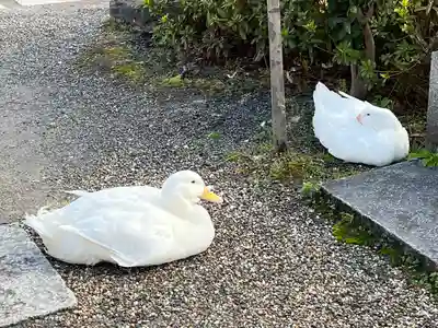 神泉苑(京都府)