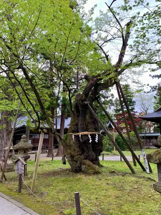 蠶養國神社(福島県)