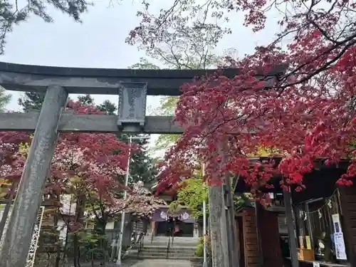 彌彦神社　(伊夜日子神社)の鳥居