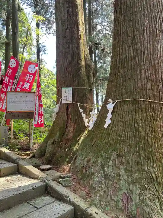 羽黒山神社(栃木県)