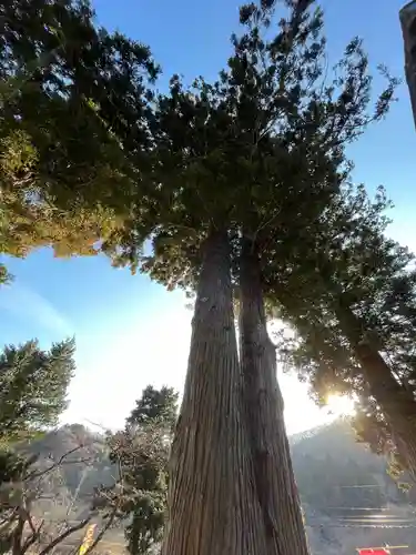 高司神社〜むすびの神の鎮まる社〜(福島県)