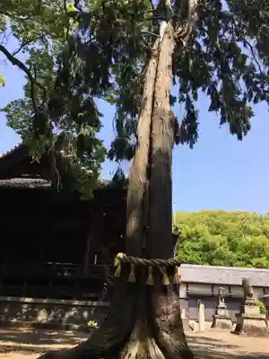 小池神社のその他建物