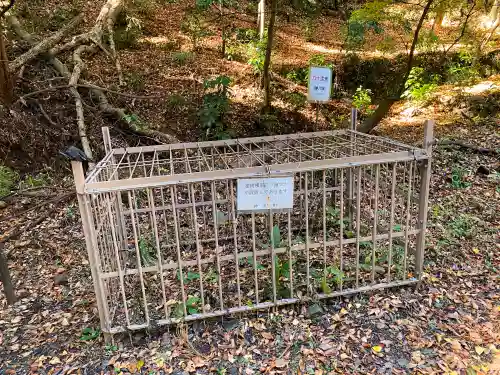 武蔵二宮 金鑚神社(埼玉県)