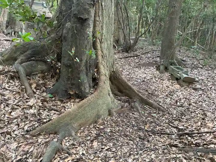 熊野神社(千葉県)