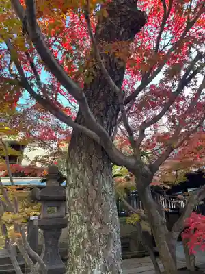 久留米宗社　日吉神社(福岡県)