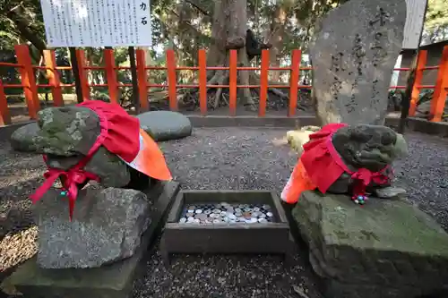 息栖神社の狛犬