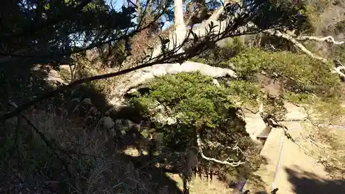 北野神社の自然