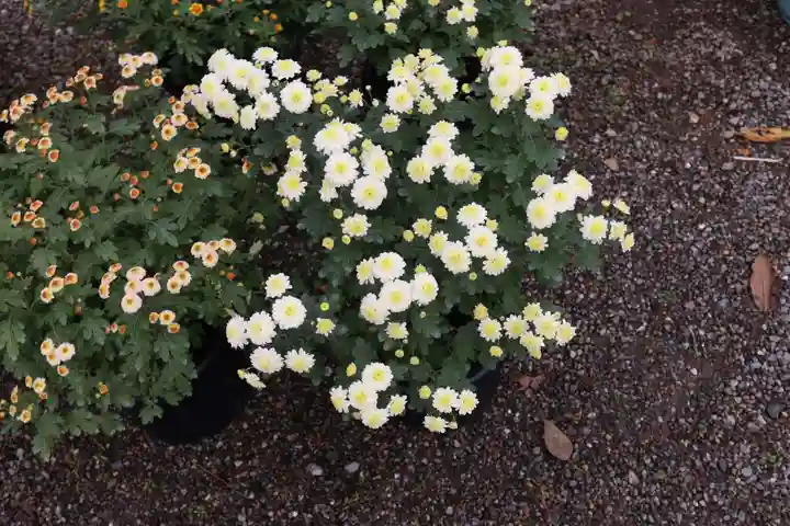 高麗神社のその他建物