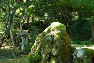 神上寺(山口県)