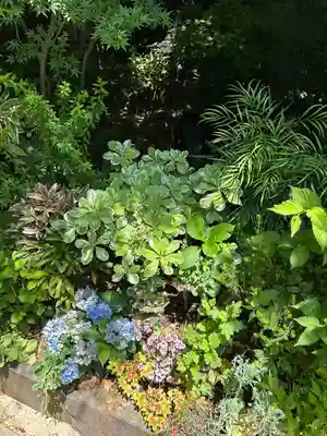 東京大神宮(東京都)