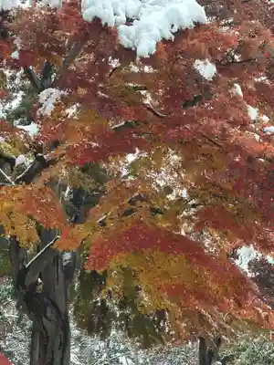 観音山普門院(青森県)