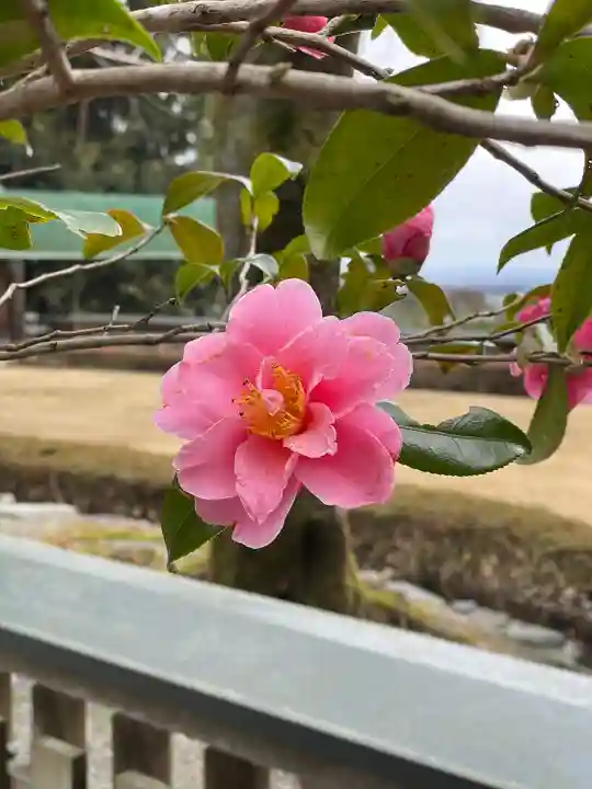 椿大神社(三重県)