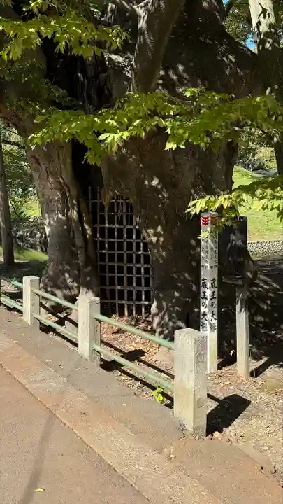 金峯神社(新潟県)