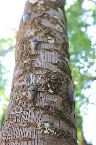 三津厳島神社(愛媛県)