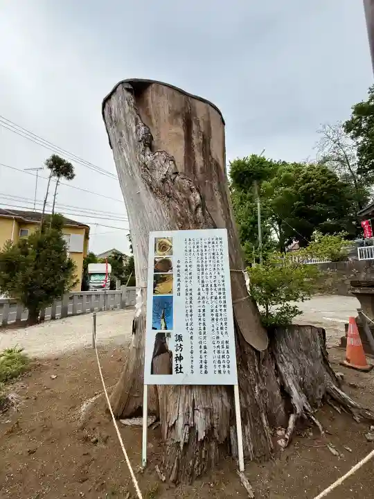 諏訪神社の{uncategorized: "未分類", other: "その他", undefined: "問題あり", building: "その他建物", grave: "お墓", sacred_gate: "鳥居", guardian: "狛犬", statue: "像", buddha: "仏像", history: "歴史", nature: "自然", garden: "庭園", animal: "動物", pagoda: "塔", temizu: "手水舎", mountain_gate: "山門・神門", sanctuary: "本殿・本堂", subordinate: "末社・摂社", art: "芸術", scenery: "景色", jizo: "地蔵", ema: "絵馬", goshuin: "御朱印", omikuji: "おみくじ", items: "授与品その他", amulet: "お守り", goshuincho: "御朱印帳", eats: "食事", festival: "お祭り", votive_dance: "神楽", shichigosan: "七五三参", wedding: "結婚式", experience: "体験その他", initially: "初詣", around: "周辺", anti_infection: "感染症対策"}