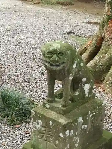 間々田八幡宮の狛犬