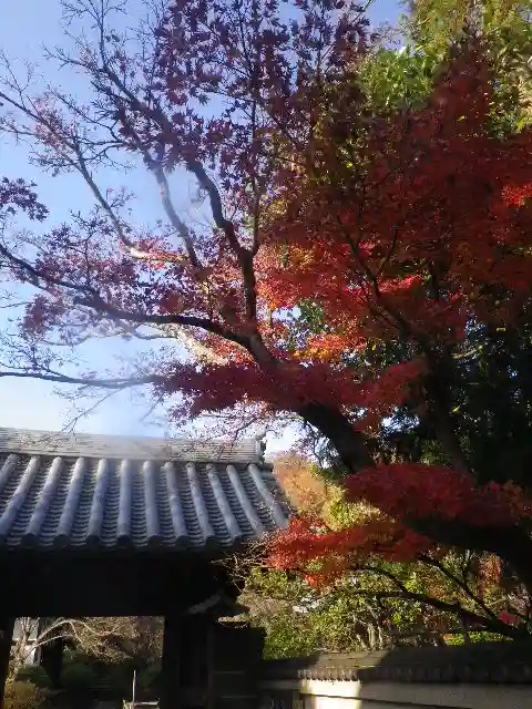 浄光明寺の自然