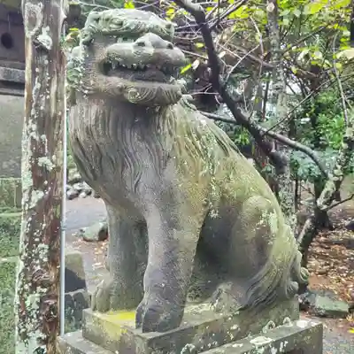 伊古奈比咩命神社の狛犬