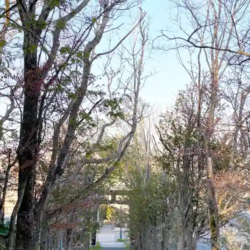 釧路一之宮 厳島神社の自然