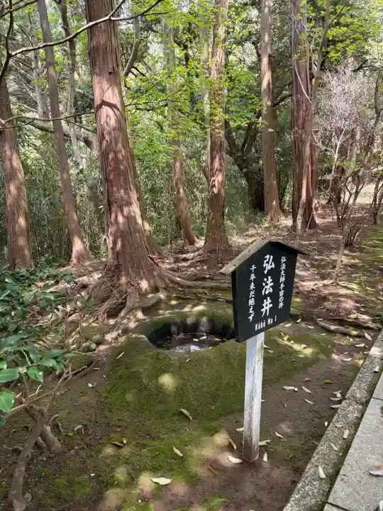 日本寺の{uncategorized: "未分類", other: "その他", undefined: "問題あり", building: "その他建物", grave: "お墓", sacred_gate: "鳥居", guardian: "狛犬", statue: "像", buddha: "仏像", history: "歴史", nature: "自然", garden: "庭園", animal: "動物", pagoda: "塔", temizu: "手水舎", mountain_gate: "山門・神門", sanctuary: "本殿・本堂", subordinate: "末社・摂社", art: "芸術", scenery: "景色", jizo: "地蔵", ema: "絵馬", goshuin: "御朱印", omikuji: "おみくじ", items: "授与品その他", amulet: "お守り", goshuincho: "御朱印帳", eats: "食事", festival: "お祭り", votive_dance: "神楽", shichigosan: "七五三参", wedding: "結婚式", experience: "体験その他", initially: "初詣", around: "周辺", anti_infection: "感染症対策"}