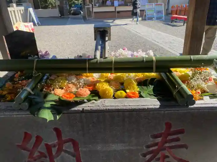 草加神社の{uncategorized: "未分類", other: "その他", undefined: "問題あり", building: "その他建物", grave: "お墓", sacred_gate: "鳥居", guardian: "狛犬", statue: "像", buddha: "仏像", history: "歴史", nature: "自然", garden: "庭園", animal: "動物", pagoda: "塔", temizu: "手水舎", mountain_gate: "山門・神門", sanctuary: "本殿・本堂", subordinate: "末社・摂社", art: "芸術", scenery: "景色", jizo: "地蔵", ema: "絵馬", goshuin: "御朱印", omikuji: "おみくじ", items: "授与品その他", amulet: "お守り", goshuincho: "御朱印帳", eats: "食事", festival: "お祭り", votive_dance: "神楽", shichigosan: "七五三参", wedding: "結婚式", experience: "体験その他", initially: "初詣", around: "周辺", anti_infection: "感染症対策"}
