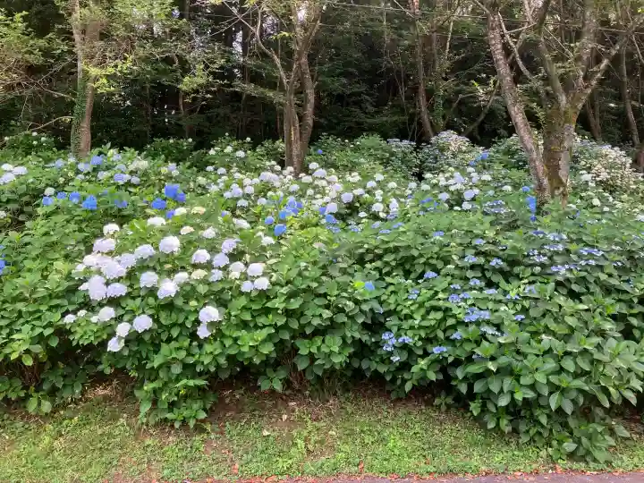 持寳院(多気山不動尊)(栃木県)