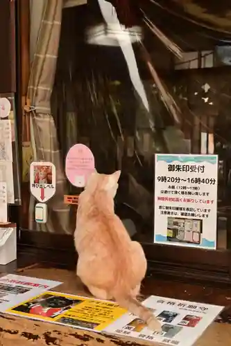 王子神社(徳島県)