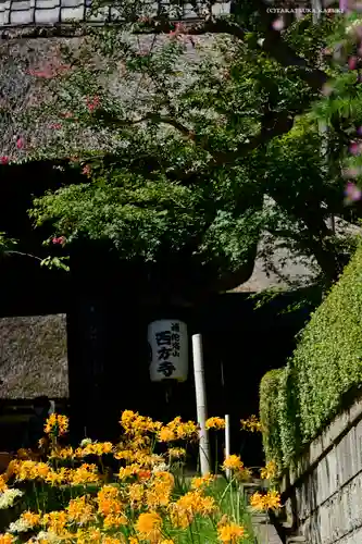 横浜　西方寺(神奈川県)