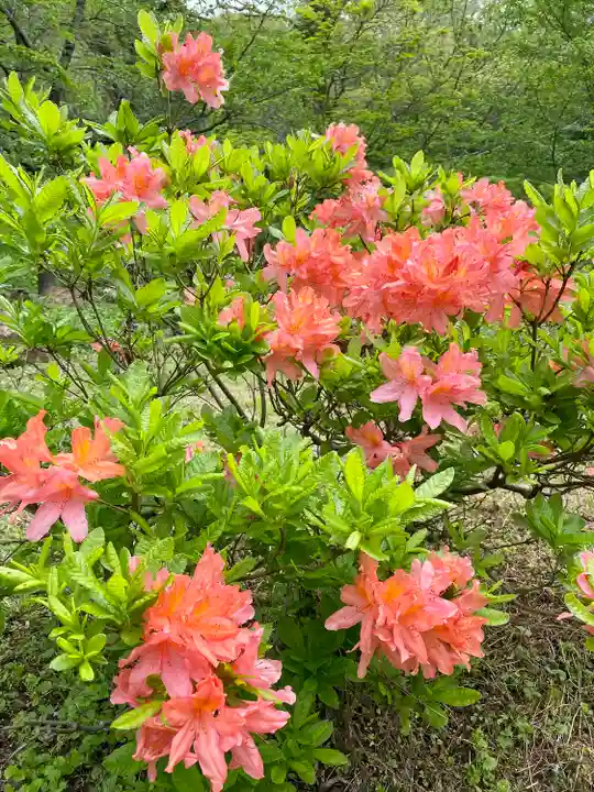 高任神社(新潟県)