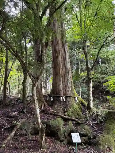 貴船神社結社(京都府)