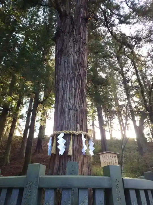 諏訪大社下社春宮(長野県)